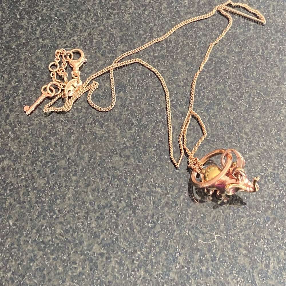 FOSSIL NECKLACE